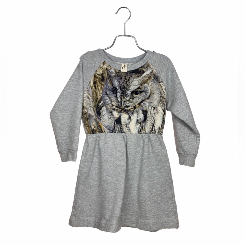 Pop-Up Shop Owl Dress Girls 4T Boutique Sweatshirt Dress Woodland Boho